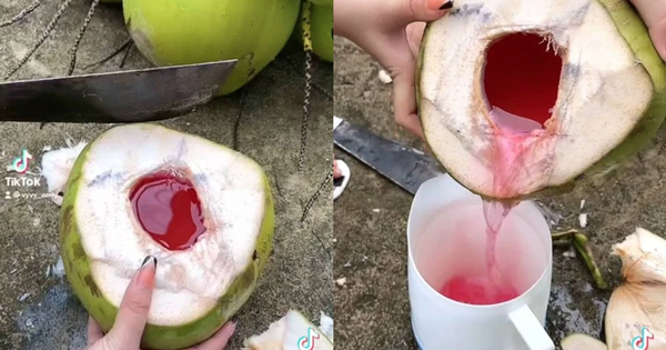 Loại quả mùa hè rẻ tiền có mặt khắp Việt Nam, không chỉ giải khát mà còn được ưa chuộng vì mát gan, thải độc
