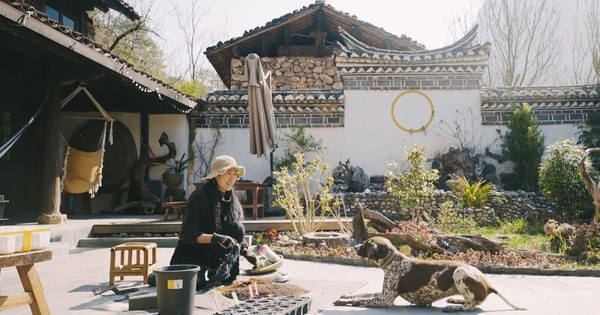 Cô gái 34 tuổi thuê 12.000m2 đất hoang để "sống chill", tự tay tạo nên "thiên đường" giữa thiên nhiên
