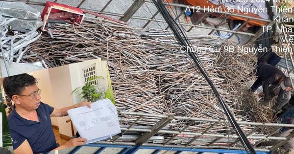 Nha Trang: Vứt tài sản của dân sau khi bị cưỡng chế ở bãi rác