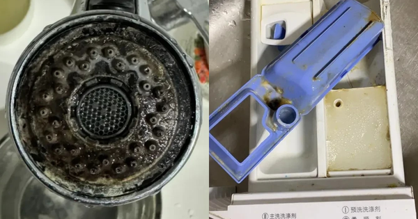 6 vật ngày nào cũng dùng dễ là ổ nấm mốc, bẩn kinh hoàng lại lăm le gây bệnh cho người