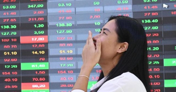 Một công ty chứng khoán sắp trả cổ tức tỷ lệ 43%