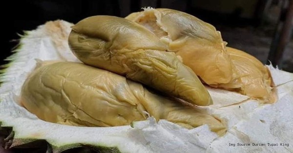 Giới "sành ăn" săn lùng giống quả mới: Mùi thơm quyến rũ, hương vị đặc biệt không thể lẫn vào đâu được