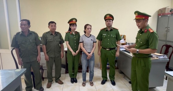 Bắt tạm giam, khám xét khẩn cấp nơi ở nữ kế toán Dương Thị Hồng Thắm