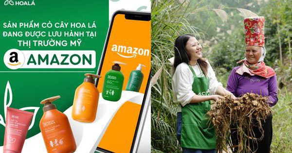 Tuổi trẻ xông pha, nông sản vươn xa: Cỏ Cây Hoa Lá đổ bộ Amazon