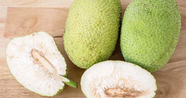 Loại quả đã khiến bao người dở khóc dở cười vì hình thù trông giống mít nhưng không phải, bù lại là có thể chế biến thành khối món ngon