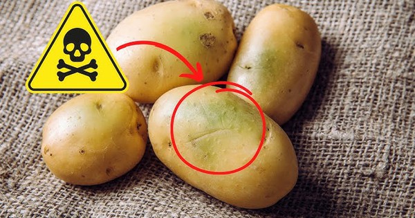 4 loại rau củ đầy độc tố, đã không bổ béo còn phá nội tạng, “cấu kết” với tế bào ung thư nhưng nhà nào cũng có