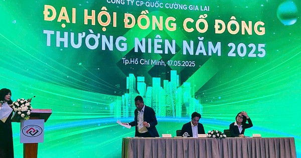 Quốc Cường Gia Lai muốn đổi tên, đặt mục tiêu lợi nhuận 300 tỷ, gấp 4 lần năm 2024