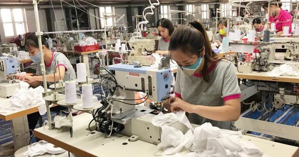 May Sông Hồng sắp phát hành 37,5 triệu cổ phiếu thưởng cho cổ đông