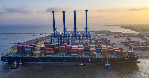 Viconship tiếp tục gom thêm hơn 1 triệu cổ phiếu Vận tải và Xếp dỡ Hải An (HAH)