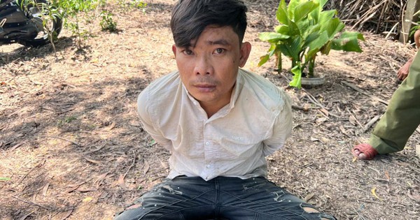 Bắt và khám xét Bùi Văn Đấu