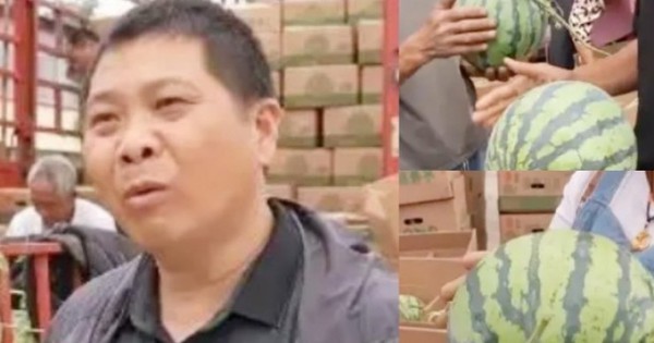Nghề lạ “chụp X-quang” cho trái cây, kiếm hàng chục triệu/tháng