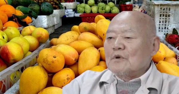 Cụ ông 88 tuổi qua đời, viết di chúc để lại BĐS hơn 10 tỷ đồng cho người bán trái cây, họ hàng kiện đòi thừa kế: Tòa phán "di chúc có hiệu lực"