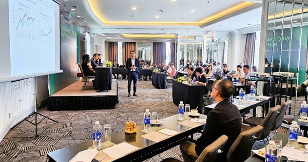 DCDE chia cổ tức tiền mặt 2 năm liên tiếp, DCDS tập trung cơ cấu danh mục