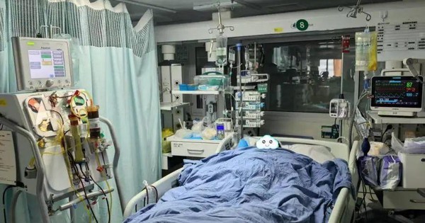 Người đàn ông suy gan, suýt chết sau bữa ăn: Bác sĩ thốt lên “do ăn 1 thứ chứa độc tố cực mạnh”