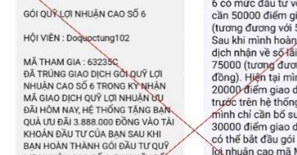Đầu tư qua MoMo Pro giả mạo, người đàn ông mất hơn 300 triệu đồng