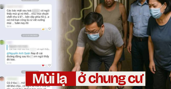 Cả chung cư phát hoảng vì thứ mùi kinh khủng, khi tìm ra nguyên nhân ai cũng phải lắc đầu ngao ngán!