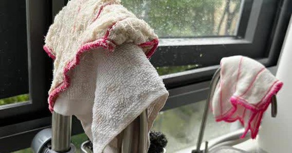 Nói thật: 5 vật dụng nhà bếp nhà nào cũng có là "ổ vi khuẩn" nên vứt ngay