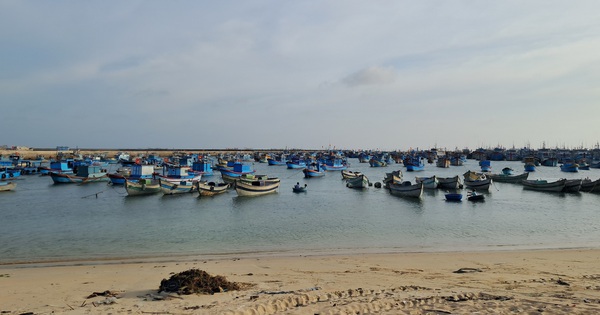 Thuyền trưởng tàu cá tử vong do tai nạn lặn biển