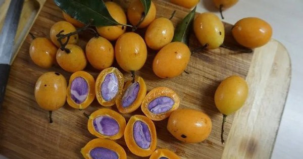 Loại quả dùng để nấu canh chua ngon hơn sấu, được ví như thuốc bổ, bán đầy chợ giá chỉ vài chục nghìn/cân