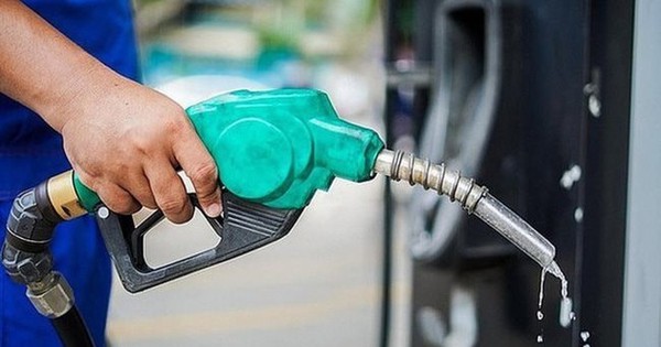 Một doanh nghiệp xăng dầu chuẩn bị trả cổ tức "khủng" bằng tiền mặt, cổ phiếu neo đỉnh lịch sử