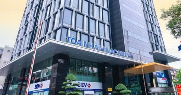 Vinaconex sắp chi gần 479 tỷ đồng trả cổ tức năm 2024