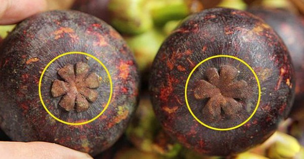 4 mẹo "nhìn phát biết ngay" măng cụt ngọt đậm, vỏ mỏng, nhiều múi, mua 1000 lần đều thành công!