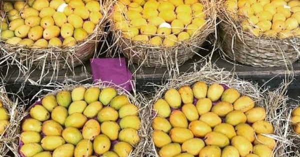Một loại quả của Việt Nam được cựu Đại sứ Hoa Kỳ khen 'ngon nhất thế giới': Trung Quốc cũng mê, xuất khẩu thu về nghìn tỷ