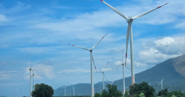 173 dự án điện gió, mặt trời đồng loạt "kêu cứu": Đề nghị giữ nguyên giá FIT