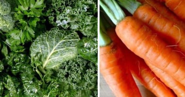 4 loại rau dễ kiếm giúp thải độc gan tự nhiên