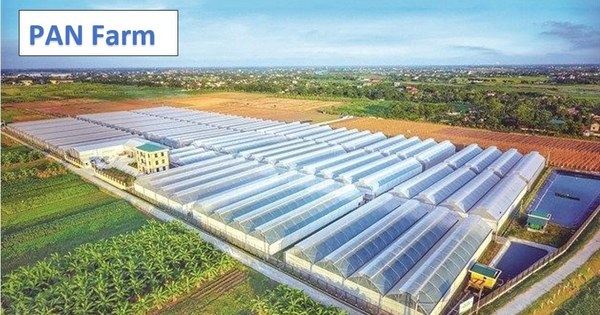 Một công ty con của Pan Group vay nợ ngân hàng tăng gấp 5,7 lần