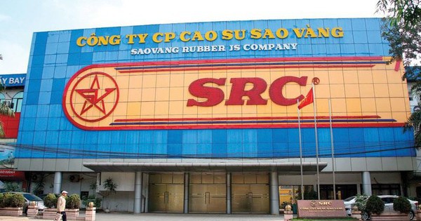 Cao su Sao Vàng chốt ngày trả cổ tức 2024 bằng tiền, Tập đoàn Hoành Sơn nhận về bao nhiêu?