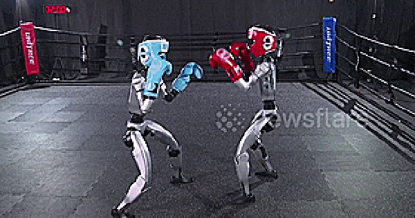 Robot hình người hăng say tập luyện trên võ đài, tung cú đấm như võ sĩ