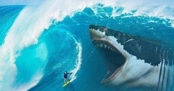 Góc nhìn chuyên gia: Nhịp điều chỉnh là 