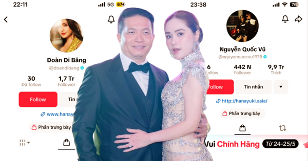 Động thái của vợ chồng Đoàn Di Băng sau khi công ty bị tạm dừng hoạt động