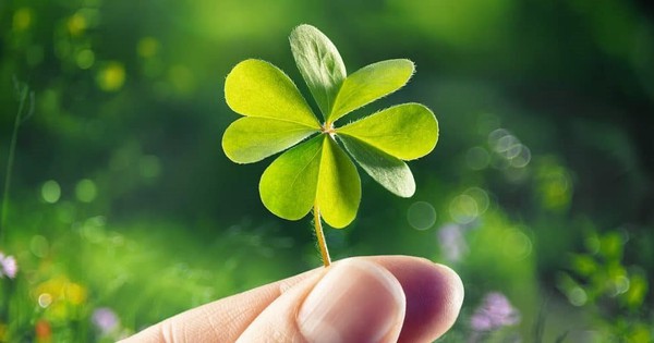 Ngành “biến người thường thành tỷ phú” ở 21 tỉnh phía Nam: Hàng triệu người tham gia chi ra số tiền hơn 140.000 tỷ, nhận về 68.000 tỷ, không ít người đổi đời