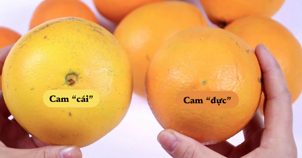 Mua cam nhớ đúng 5 mẹo: Đảm bảo chọn đâu trúng đó, quả nào quả nấy ngọt như rót mật!