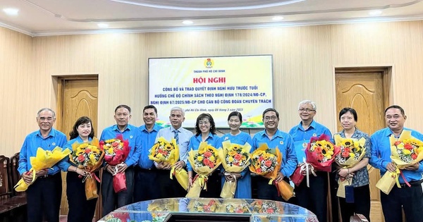 Điều kiện hưởng lương hưu tối đa khi nghỉ hưu trước tuổi