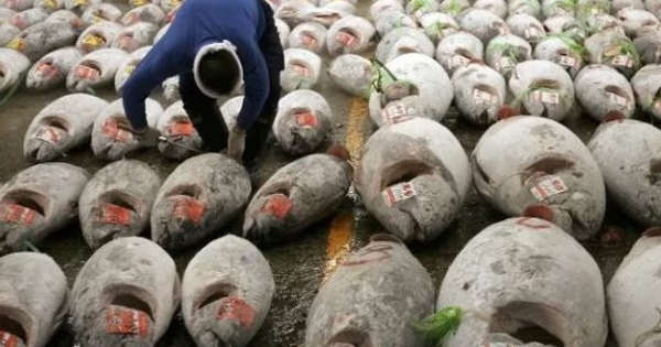 Một mặt hàng của Việt Nam cực đắt hàng tại Nga: Thu gần 64 triệu USD kể từ đầu năm, nước ta xuất khẩu đứng thứ 3 thế giới