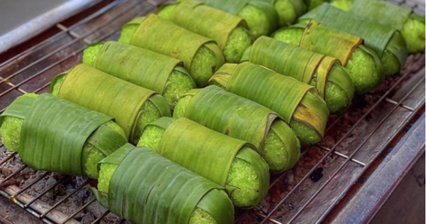Loại lá bị bỏ đi là “vàng xanh” từng giúp Việt Nam thu về hơn 30 tỷ đồng/năm nhờ xuất khẩu: Giá cao ngất ở Nhật và Hàn, là “thuốc” kích thích mọc tóc rất tốt