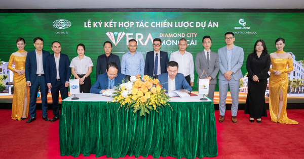 SGO Land - Tổng đại lý phân phối độc quyền Vera Diamond City của Vinaconex