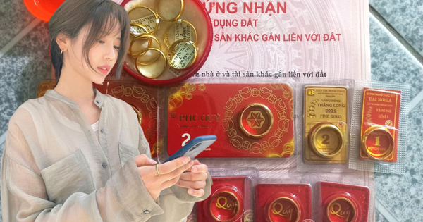 Bức ảnh 19 chiếc nhẫn vàng cùng 1 cuốn sổ đỏ của vợ chồng Hà Nội gây sốt: Thu nhập 25-30 triệu/tháng, sao có thể?