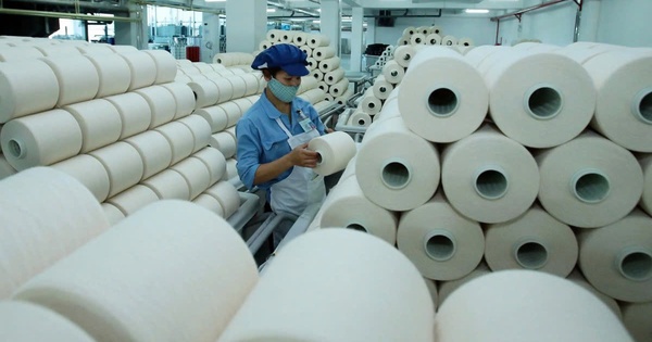 Lãnh đạo Sợi Thế Kỷ muốn ‘gom’ 7 triệu cổ phiếu STK