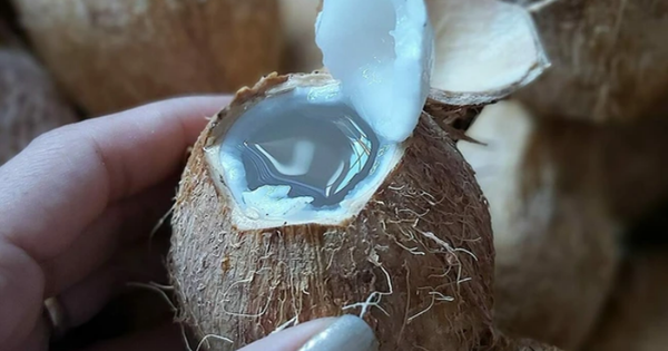 Việt Nam có 2 loại “nước trường thọ”, giá rẻ bèo nhưng bổ tựa nhân sâm, tổ yến: Giúp người mắc Covid-19 tăng miễn dịch, phục hồi nhanh