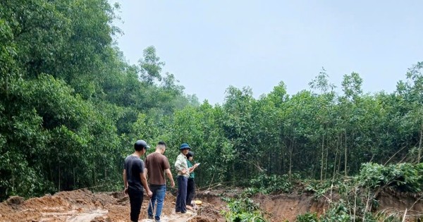 Hà Nội: 'Đất tặc' ngang nhiên phá hoại cây trồng của người dân, xúc trộm hơn 500m3 đất