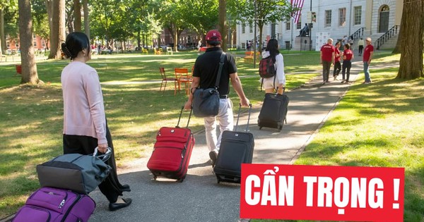 Học sinh hoang mang vì Mỹ tạm dừng phỏng vấn cấp visa du học, chuyên gia nhắc: Hãy rà soát ngay thứ này trên trang cá nhân của các em