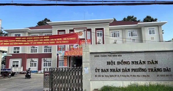 Bà Dương Kim Trúc phụ trách điều hành “siêu phường” Trảng Dài sau khi chủ tịch bị bắt