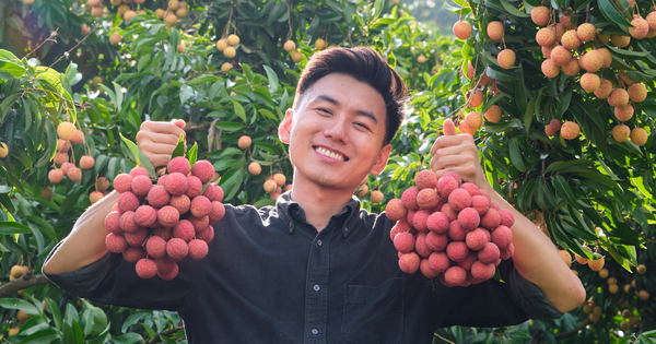 Hơn 2 triệu người theo dõi, được coi là youtuber “sạch sẽ” nhất MXH Việt Nam: Học cách Khoai Lang Thang xây dựng thương hiệu cá nhân giữa thế giới mạng hỗn loạn