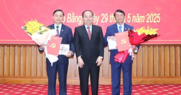 Chủ tịch tỉnh Cao Bằng xin nghỉ hưu trước tuổi