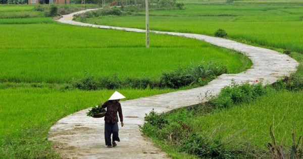 Tiếng Việt gọi tên nỗi lòng bằng một từ mà tiếng Anh chẳng thể đuổi kịp: Da diết như lời ru, sâu lắng hơn ký ức
