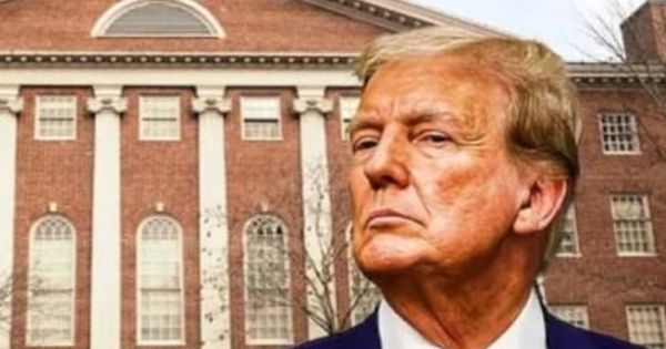 Ông Trump cho Đại học Harvard 30 ngày 'kháng cáo'